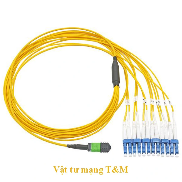 Cap Quang Mpo 12 Lc