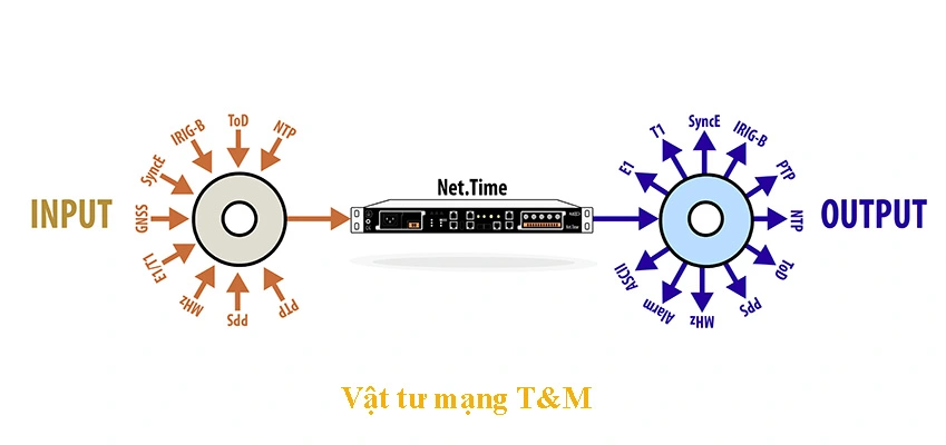 Net Time Omega Tinh Nang Dong Bo Net Time Omega Tinh Nang Dong Bo