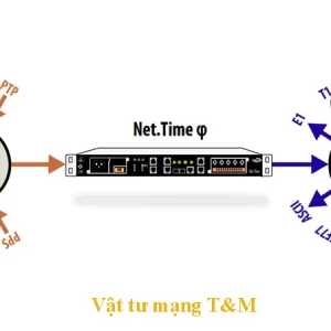 Net Time Phi Tinh Nang